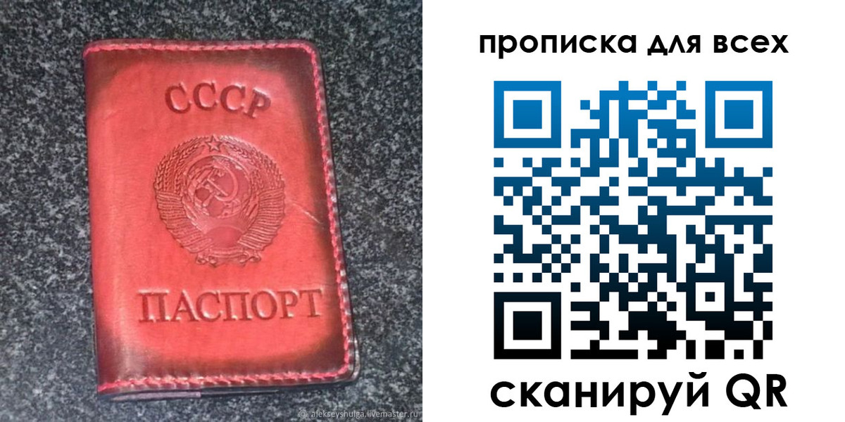 временная регистрация госуслуги в Благовещенске